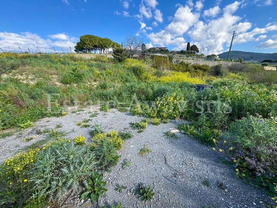 Helårsgrund i Bordighera, Imperia - foto 4